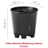 Yaban Mersini - Blueberry Saksısı 45 Litre - 100 Adet